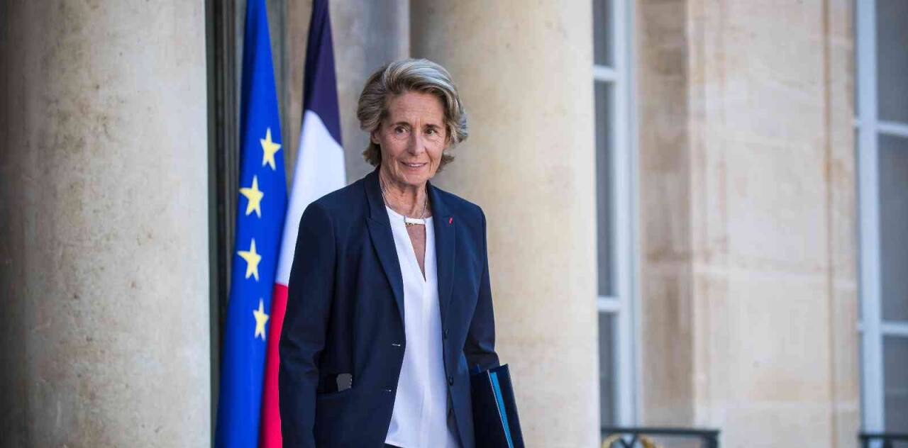 Fransa Bölgesel Uyum Bakanı Cayeux, istifa etti