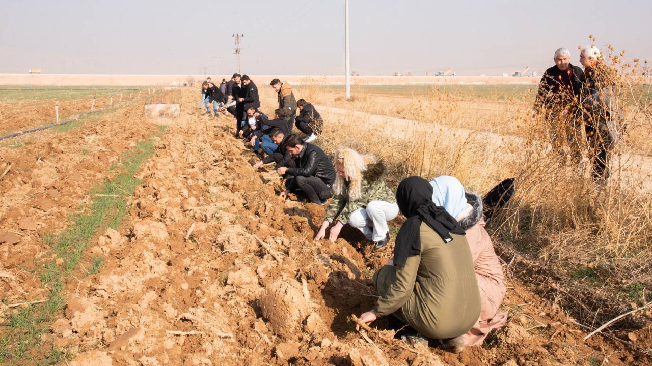 SÜ Sarıcalar Araştırma ve Uygulama Çiftliği'nde 12 bin fidan dikildi