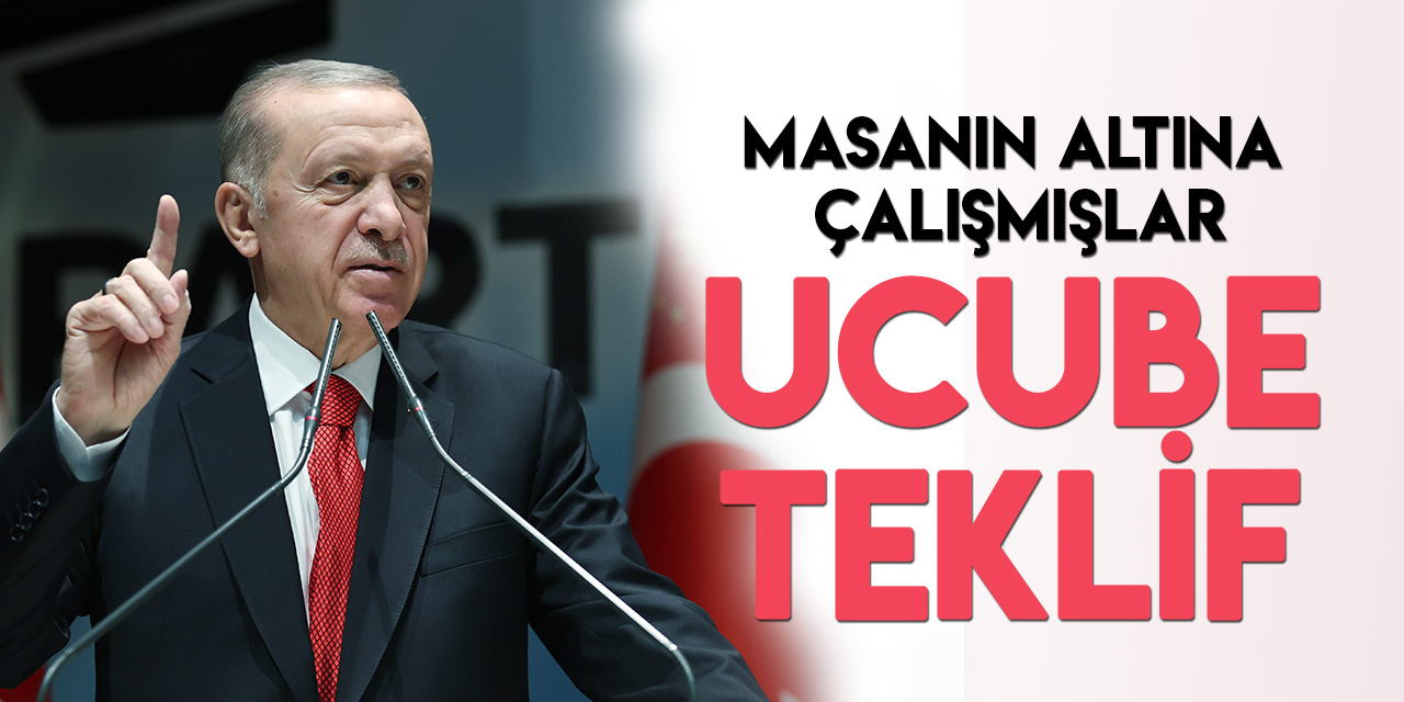 Cumhurbaşkanı Erdoğan'dan Altı Masaya anayasa eleştirisi: Ucube teklif!