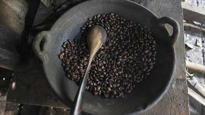 Misk kedisinin midesinde mayalanıyor