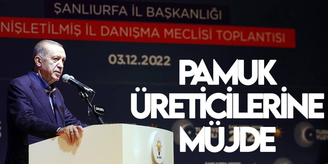 Cumhurbaşkanı Erdoğan’dan pamuk ve ay çiçek müjdesi