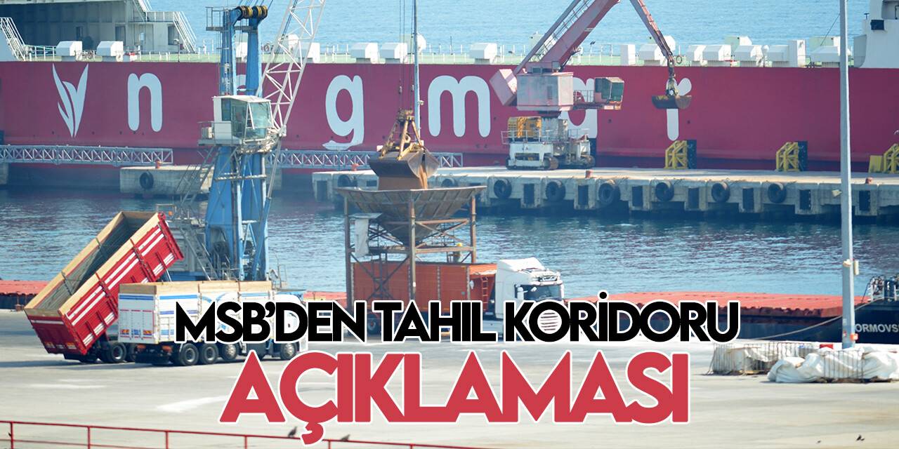 Tahıl koridorunda taşınan tahıl 13 milyon tonu geçti