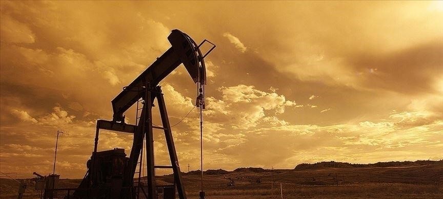 Rus petrolüne tavan fiyat uygulamasına destek