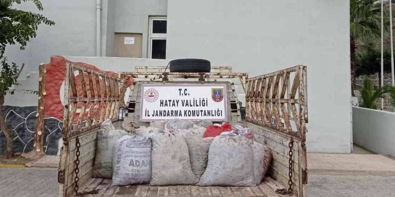 Hatay’da 2 ton zeytin çalan 3 şüpheli tutuklandı