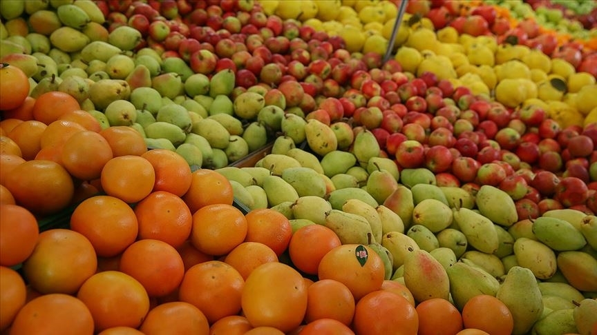 Yaş meyve sebze ihracatı kasımda 350 milyon doları aştı