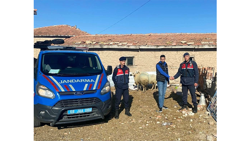 Kaybolan koyunlar dron ile bulundu