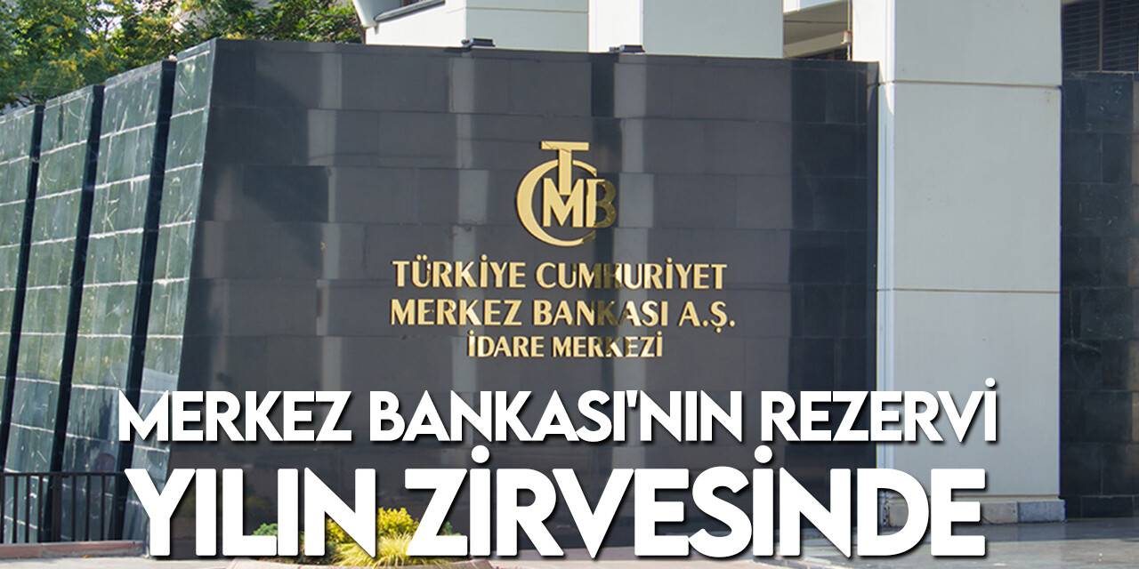 Merkez Bankası rezervleri 125 milyar dolar ile yılın en yüksek seviyesinde