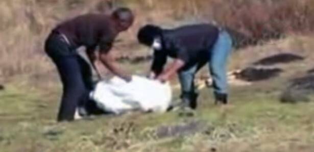 Kardeş kavgası, 14 yıl önceki cinayeti aydınlattı