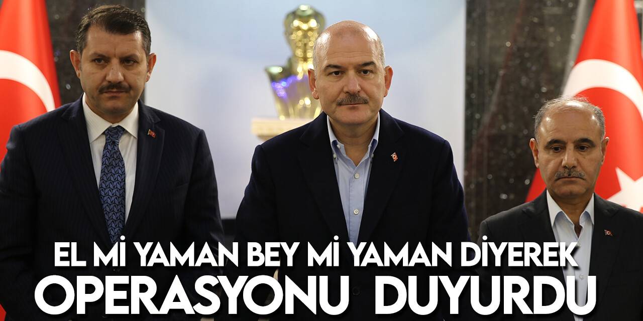 Bakan Soylu: "Zincir 2" operasyonunda 176 şüpheli gözaltına alındı