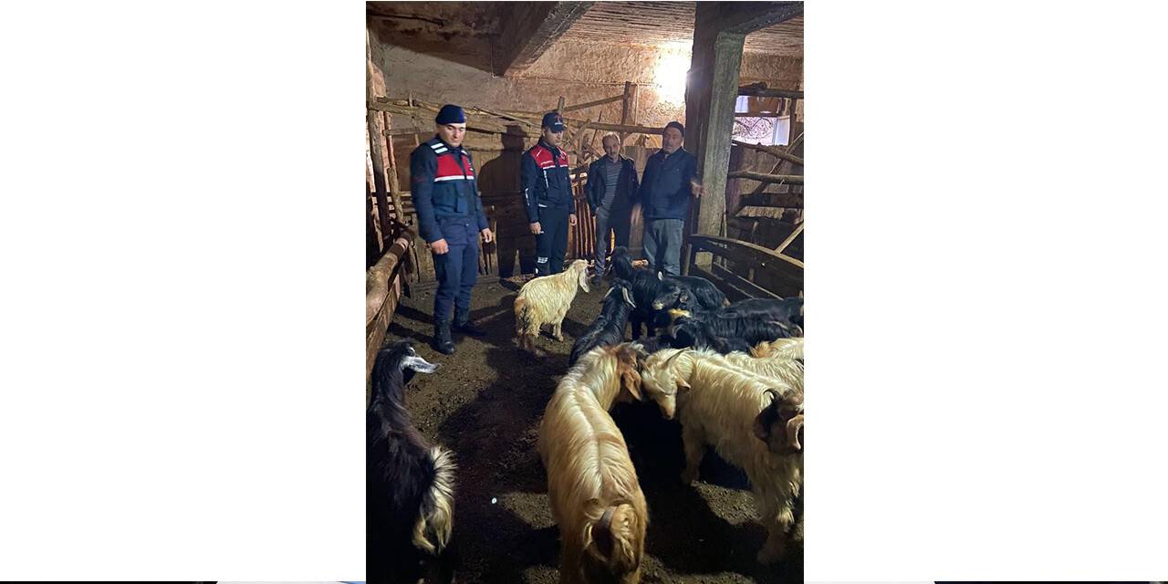 Kayıp hayvanlar 10 saat sonra bulundu