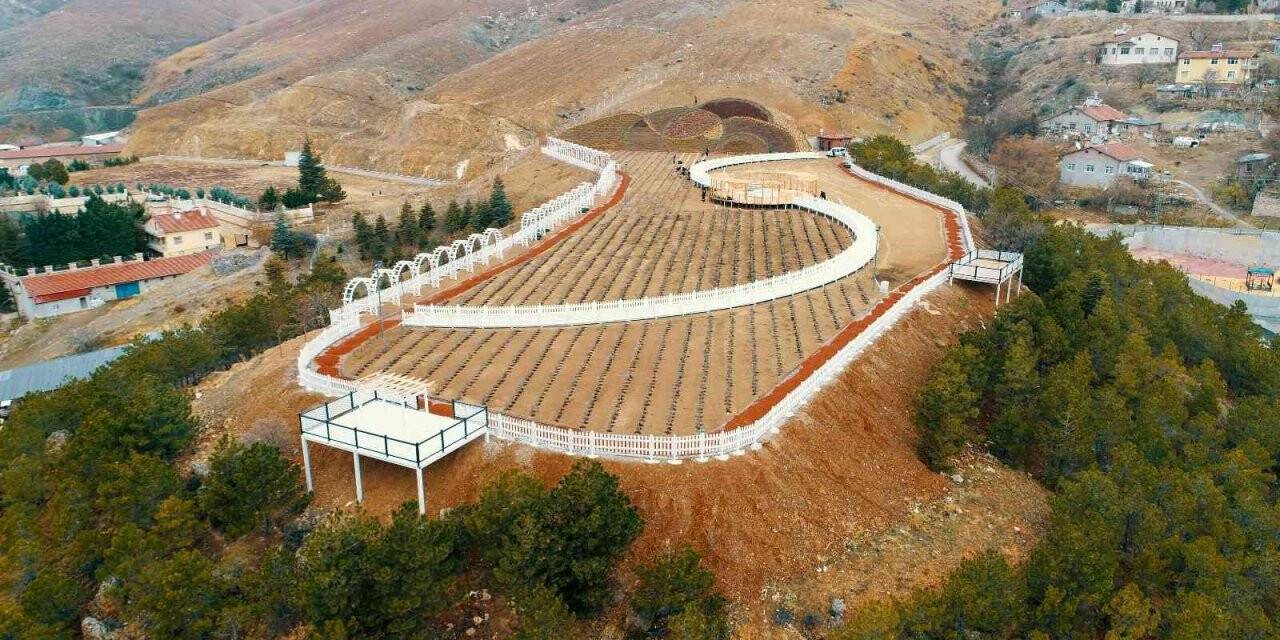 Meram Belediyesi Dere Mahallesinde lavanta bahçesi kurdu