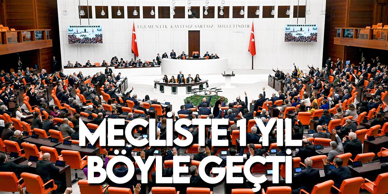 TBMM'de 2022 böyle geçti