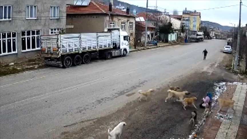 Konya'da sahipsiz köpeklerin saldırısıyla yaralanan kadının yaşadıkları güvenlik kamerasında