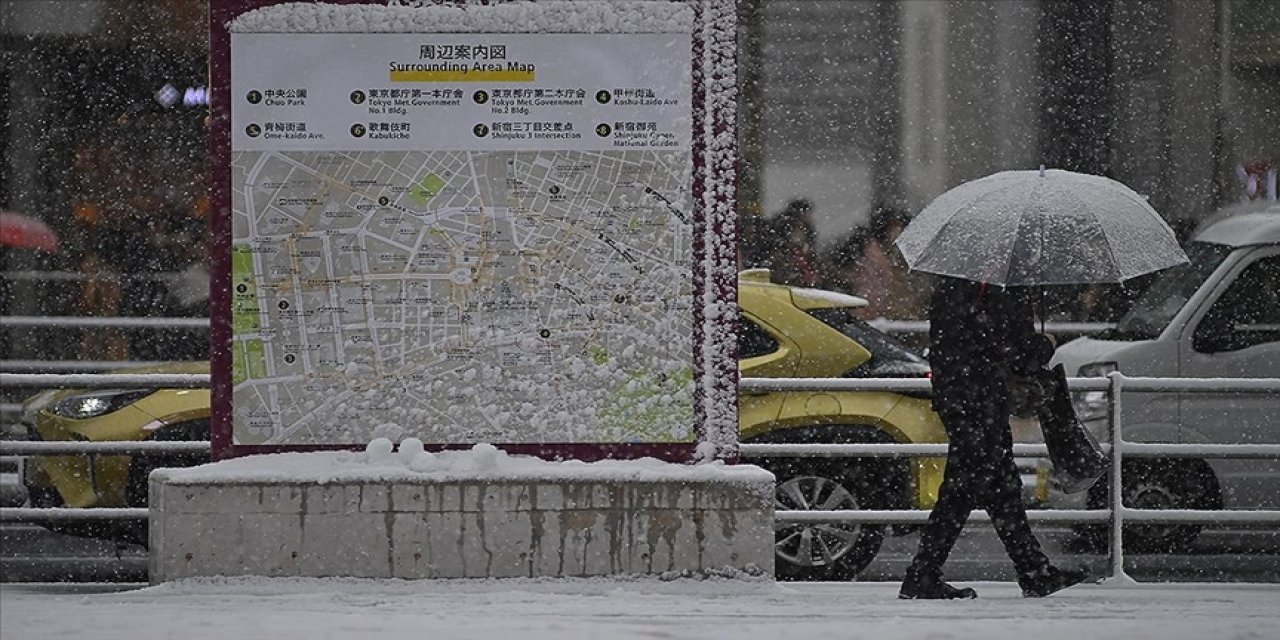 Japonya'da yoğun kar yağışı nedeniyle can kaybı sayısı 17'ye yükseldi