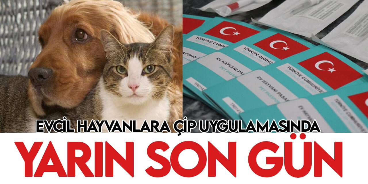 Dijital kimliklendirme sona eriyor