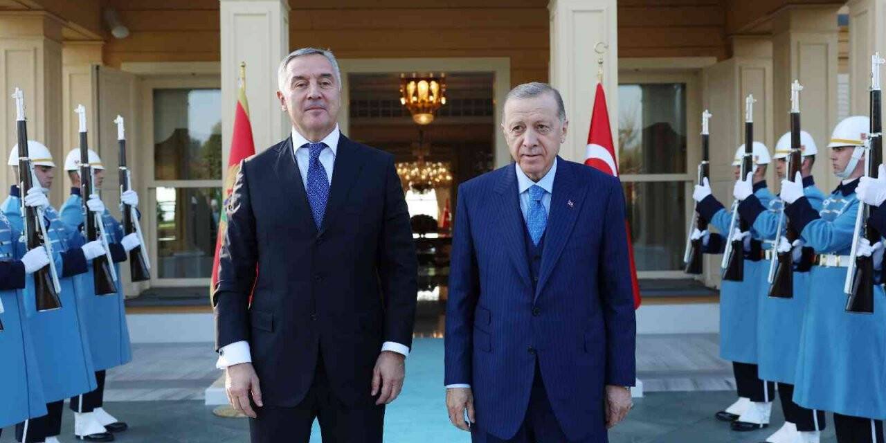 Cumhurbaşkanı Erdoğan, Cukanoviç görüştü