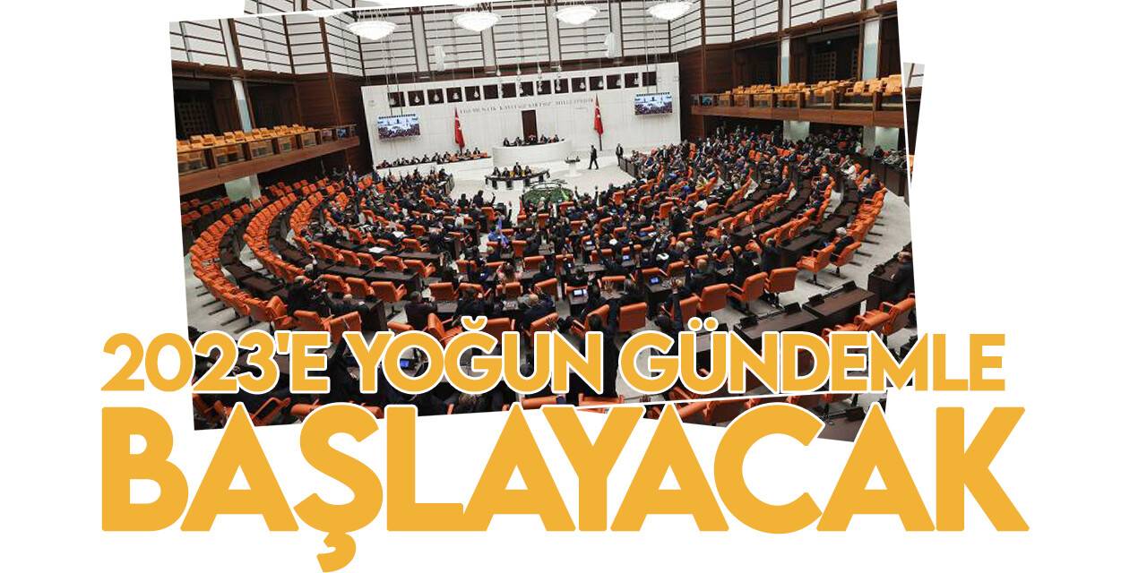 Meclis 2023'e yoğun mesaiyle başlayacak