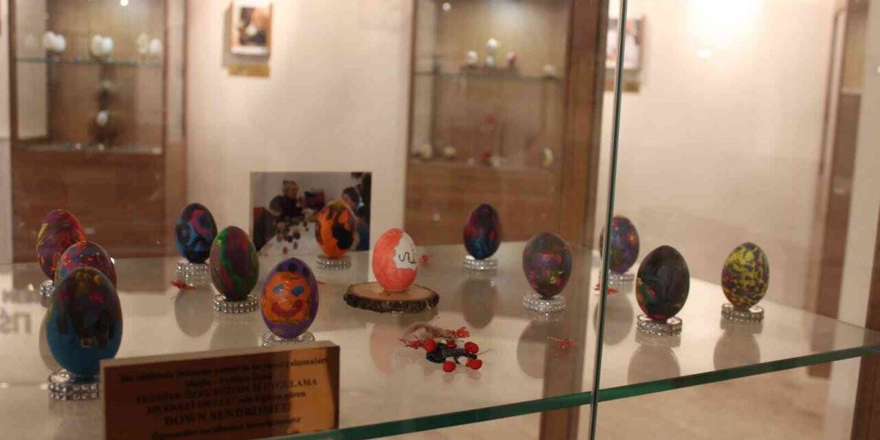 Yumurtayı hiç böyle görmediniz