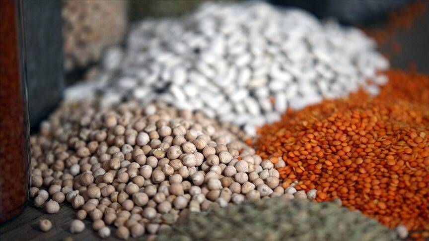 Hububat ve bakliyat ihracatı yüzde 25,4 artışla 11,5 milyar dolara ulaştı