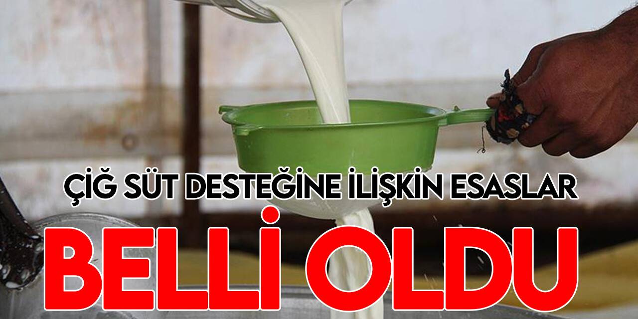 Üreticilere verilecek çiğ süt desteği esasları Resmi Gazete'de