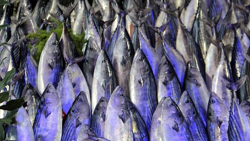 Diyetisyen Suna Koçak: Balık tüketiminin tam zamanı