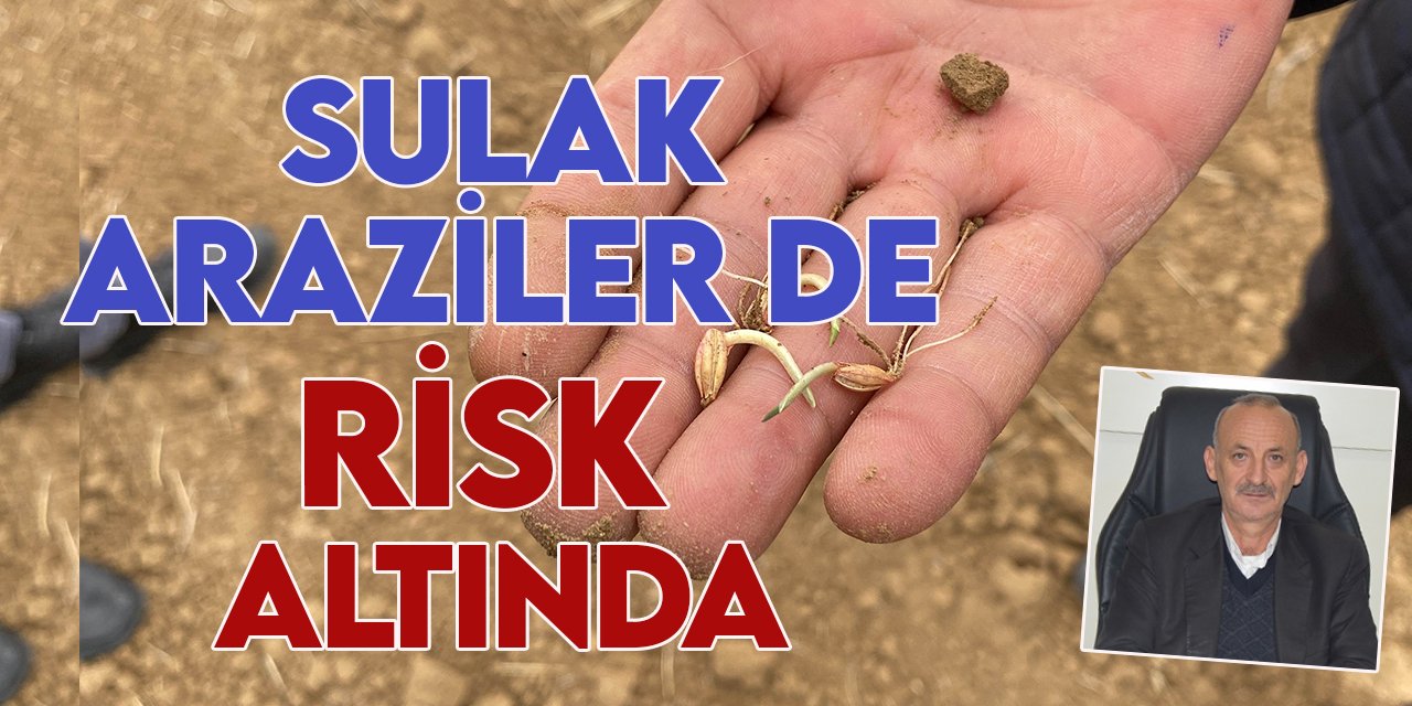 Konya Ovası'nda kuraklık alarmı üst seviyede: Sulak araziler de risk altında!