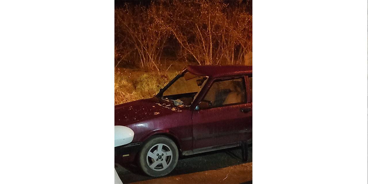 Karayoluna çıkan ineğe araç çarptı