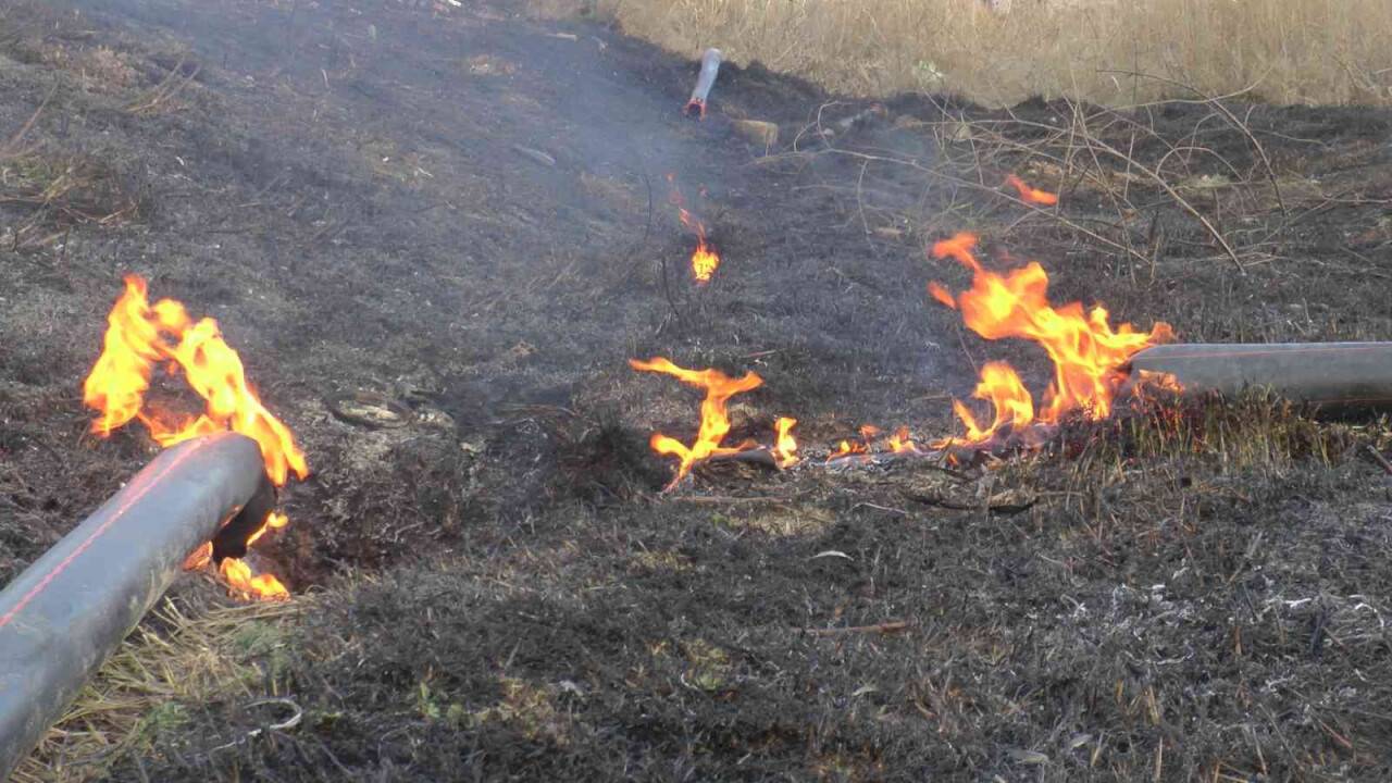 Isınmak için yaktı, 45 dekar alanı kül etti