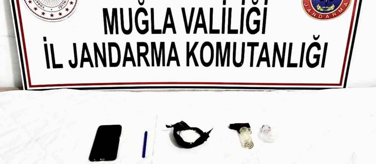 Aracın sigorta panelinden zehir çıktı