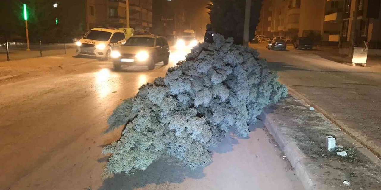 Konya’da şiddetli rüzgar ağaçları devirdi