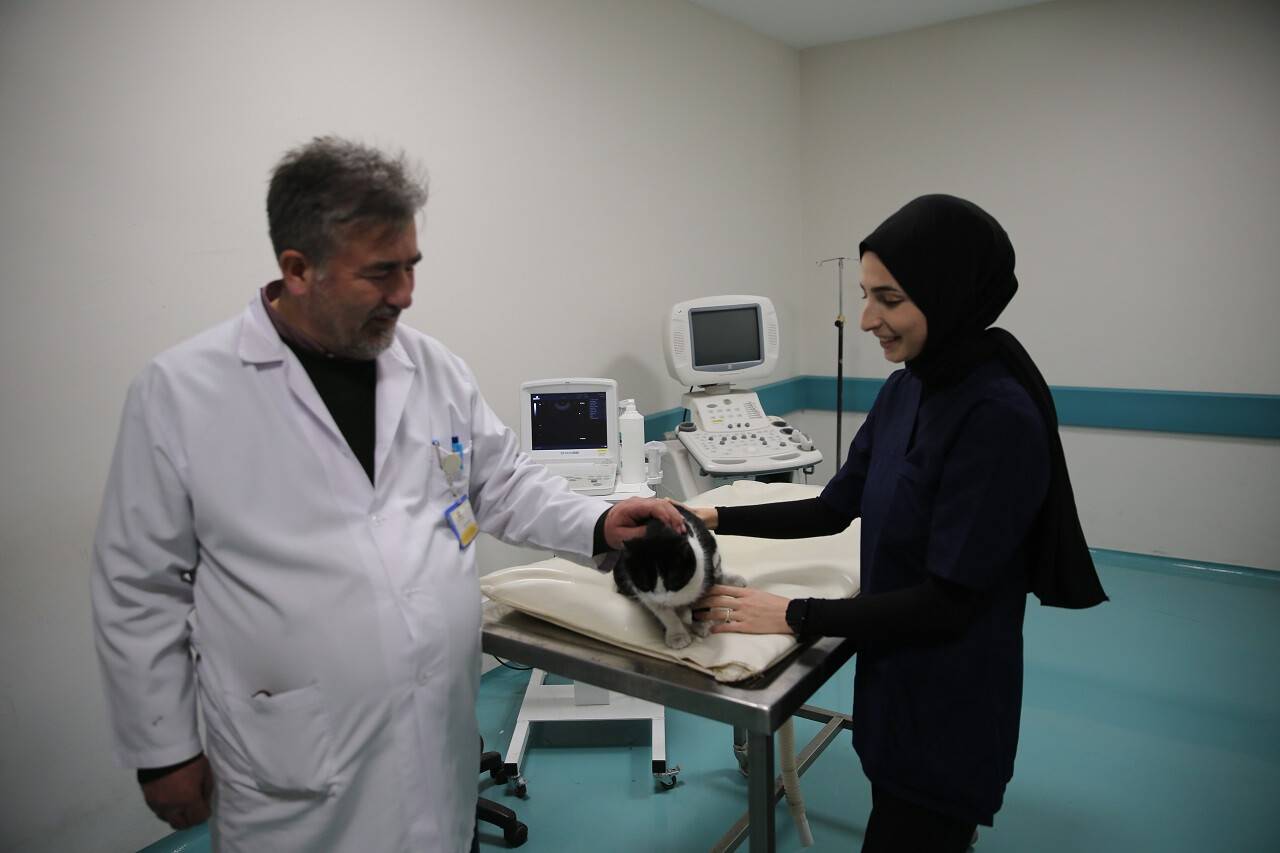 Hayvan hastalıklarının tanı ve tedavisinde "ultrason muayenesi" önemli