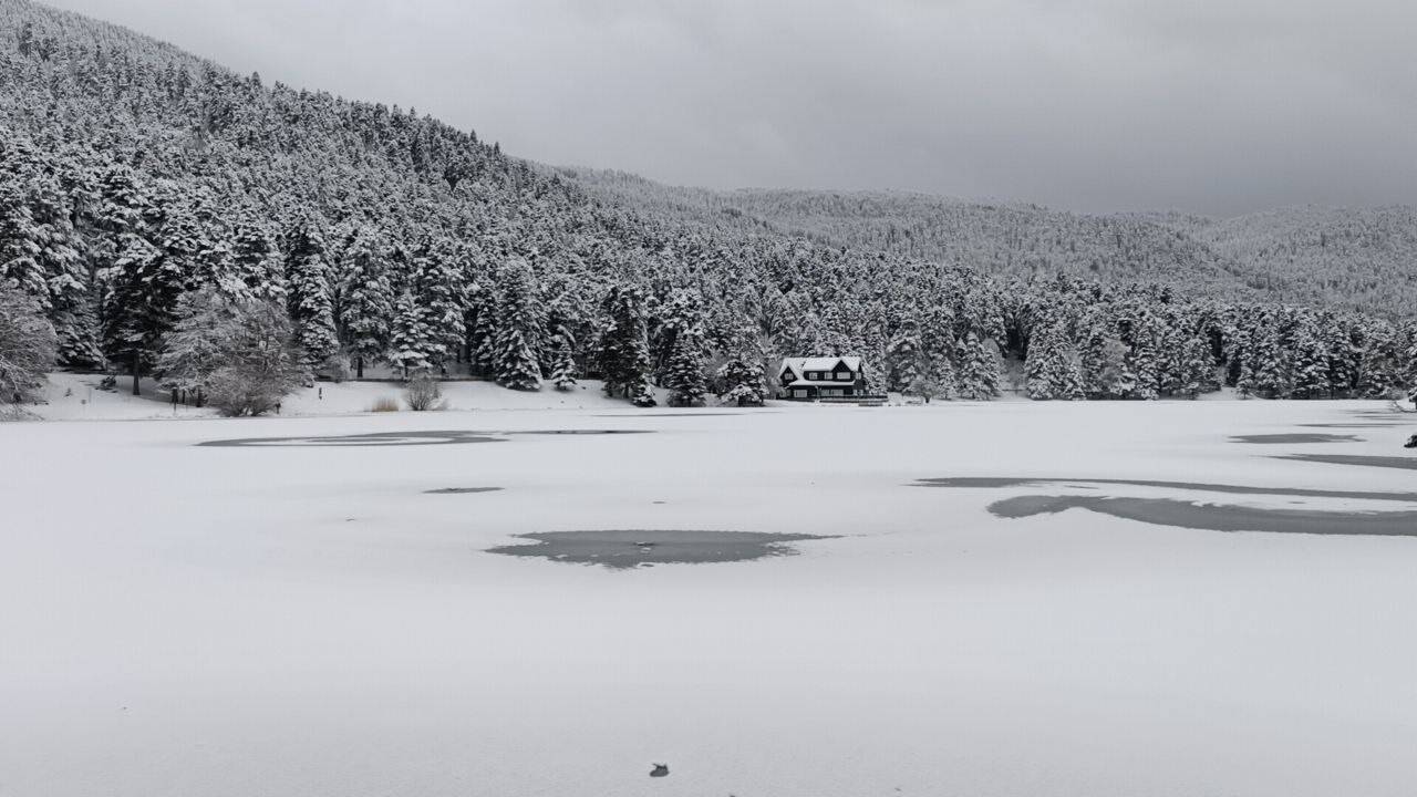 Bolu’nun incisi buz tuttu