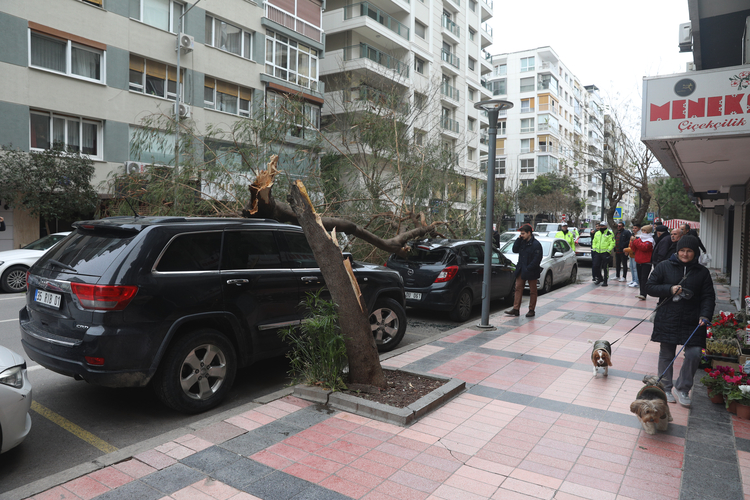 İzmir'de kuvvetli rüzgar, hayatı olumsuz etkiledi