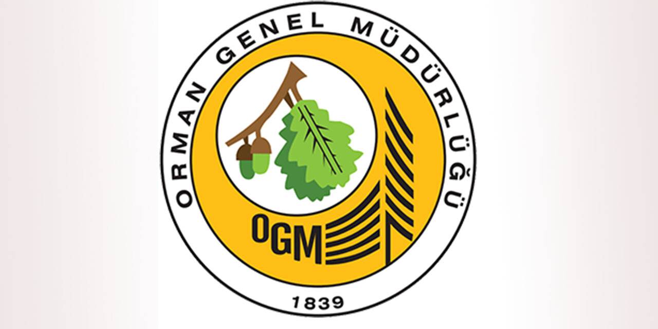 Orman emvali istif hizmeti alınacak