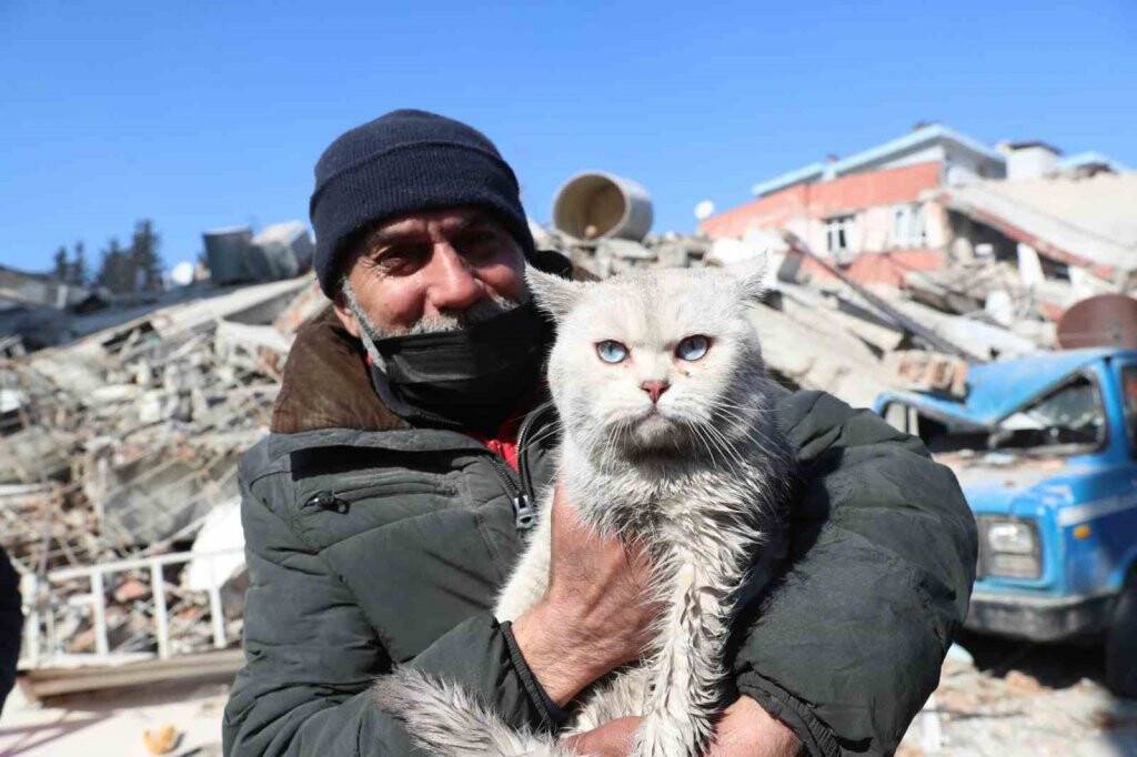 Depremde kaybolan kedisine 5 gün sonra kavuştu