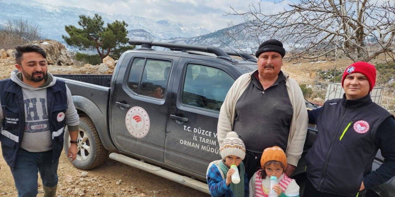 Deprem bölgelerinde hayvan hastalıkları ile mücadele sürüyor