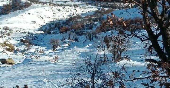 Deprem yaban keçilerini de ürküttü