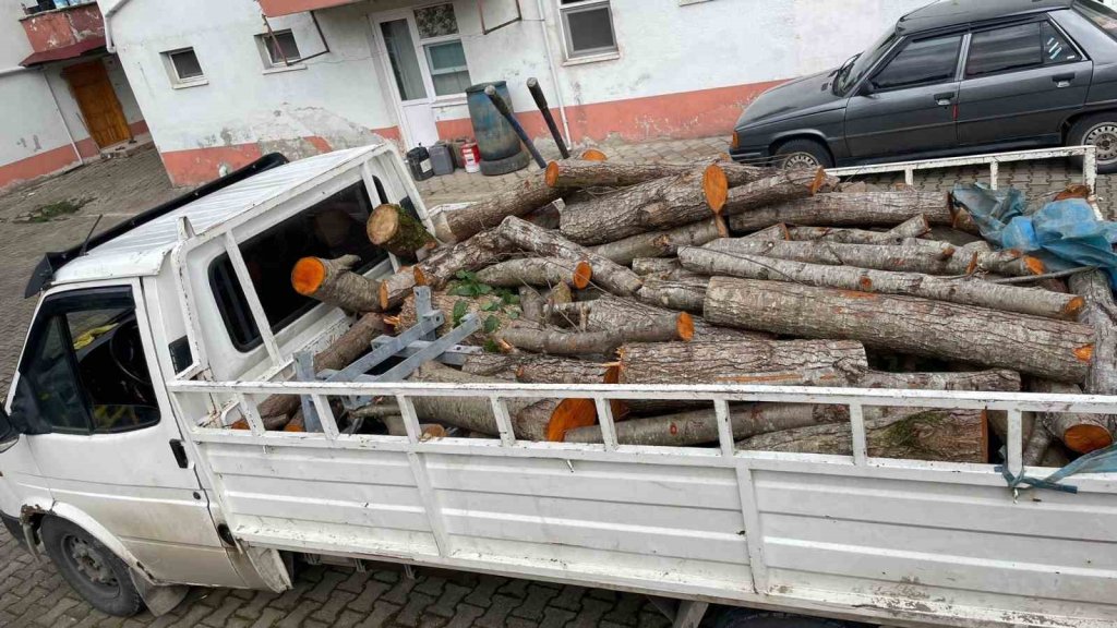 Depremzedelere gönderilmek üzere kesilen odunları çaldılar