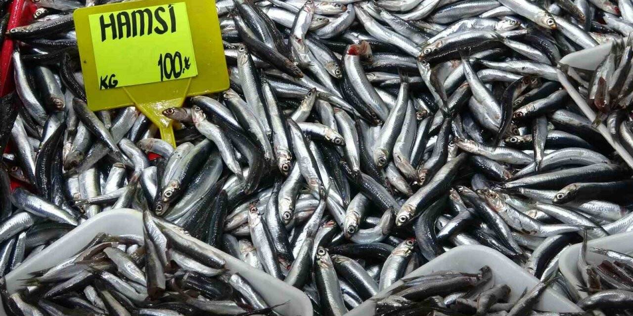 İrileşen hamsinin kilosu 50 liradan 100 liraya çıktı