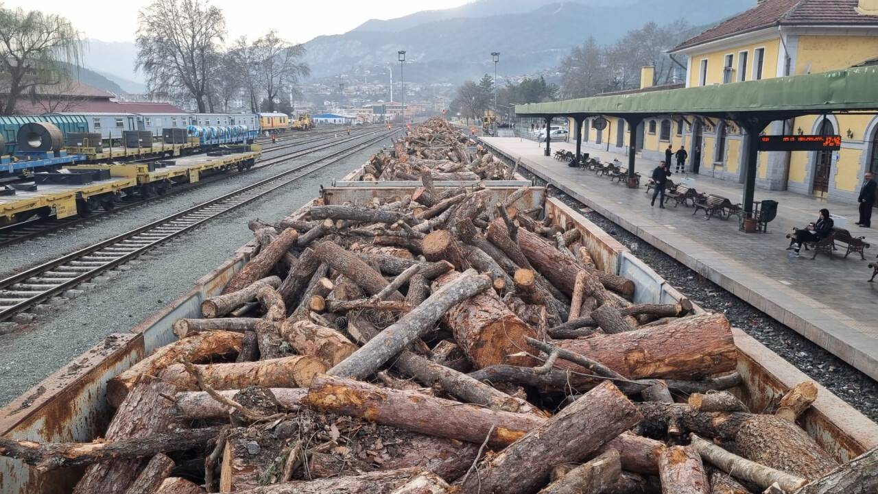 Odun yüklü 20 vagon yolda