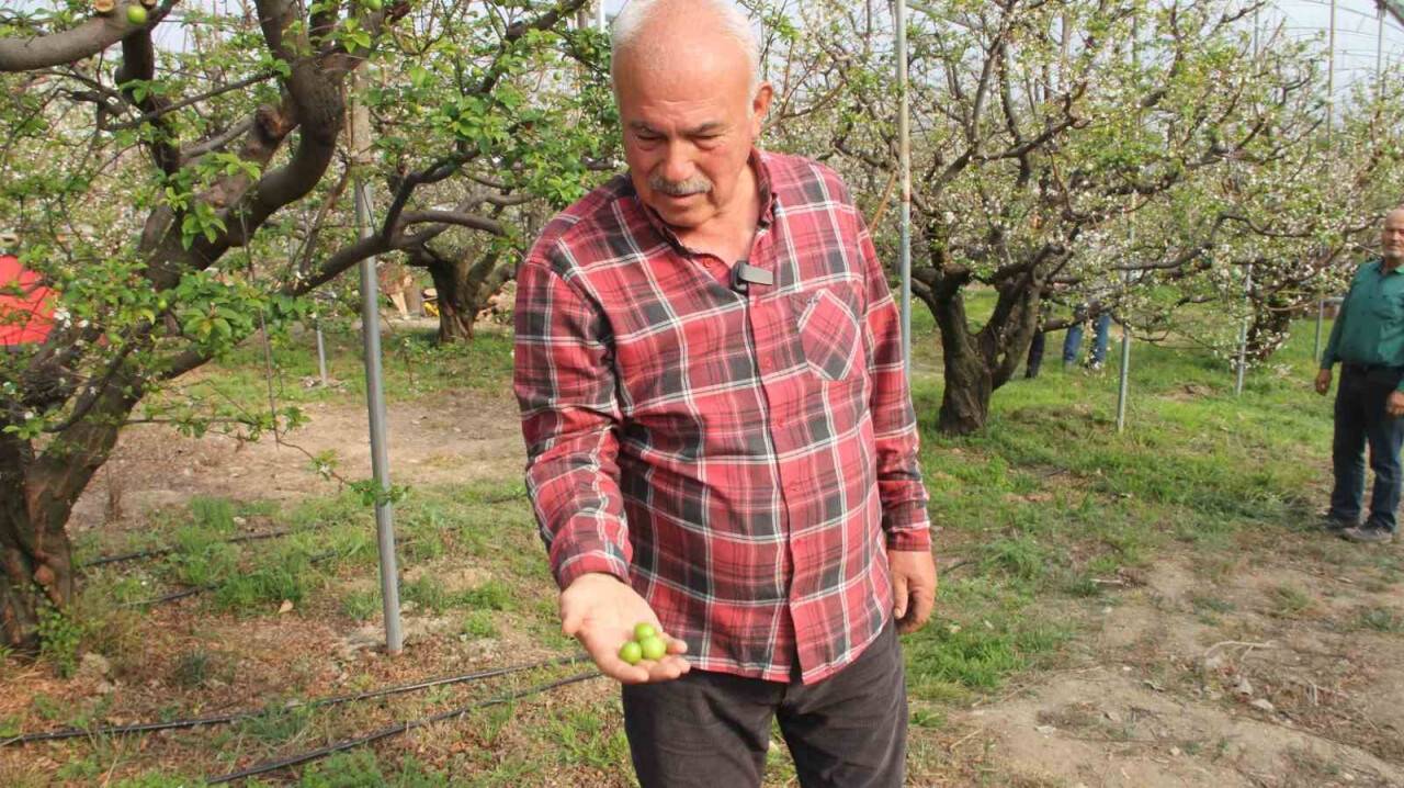 Can erik hasadı başladı