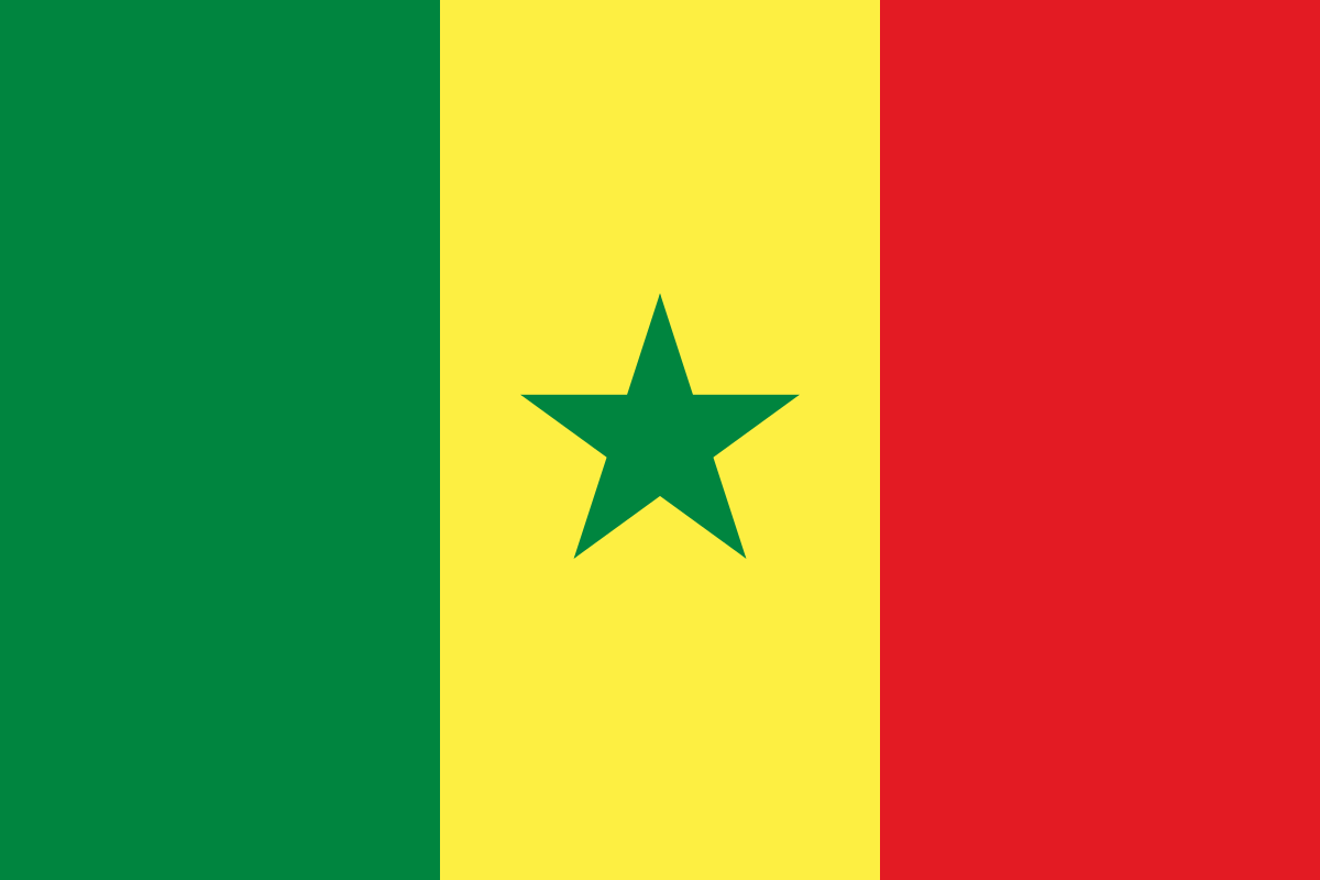 Senegal'den düzensiz göçmen açıklaması