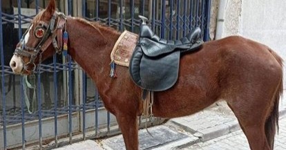 Konya'da alkollü olarak atıyla caddede dolaşan kişiye 10 bin lira
