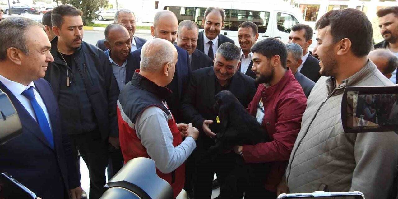 Bakan Kirişci’den şap aşısı müjdesi