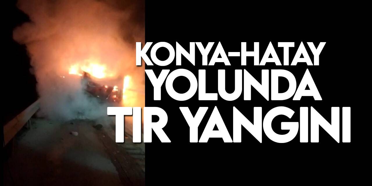 Konya'dan Hatay'a gidiyordu, alevlere teslim oldu!