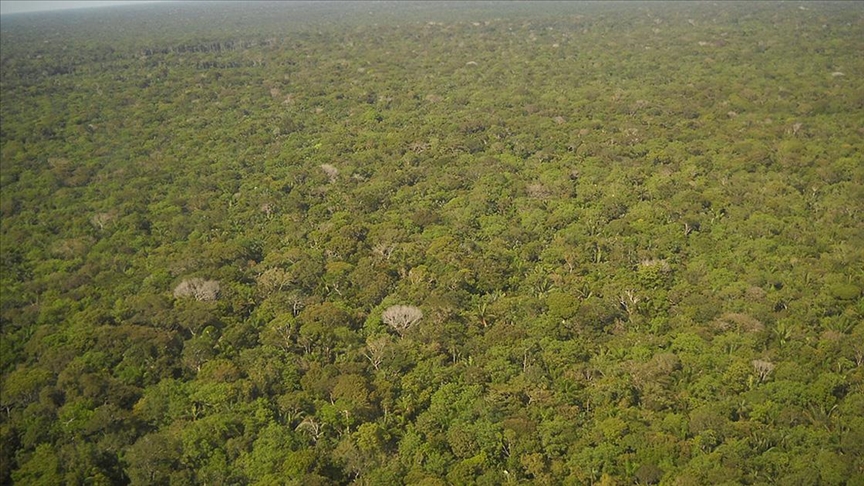 Amazonlarda  "ormansızlaştırma rekoru"
