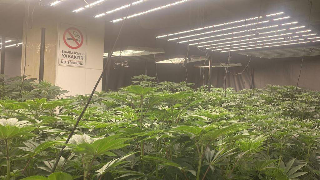 20 milyonluk uyuşturucu ele geçirildi