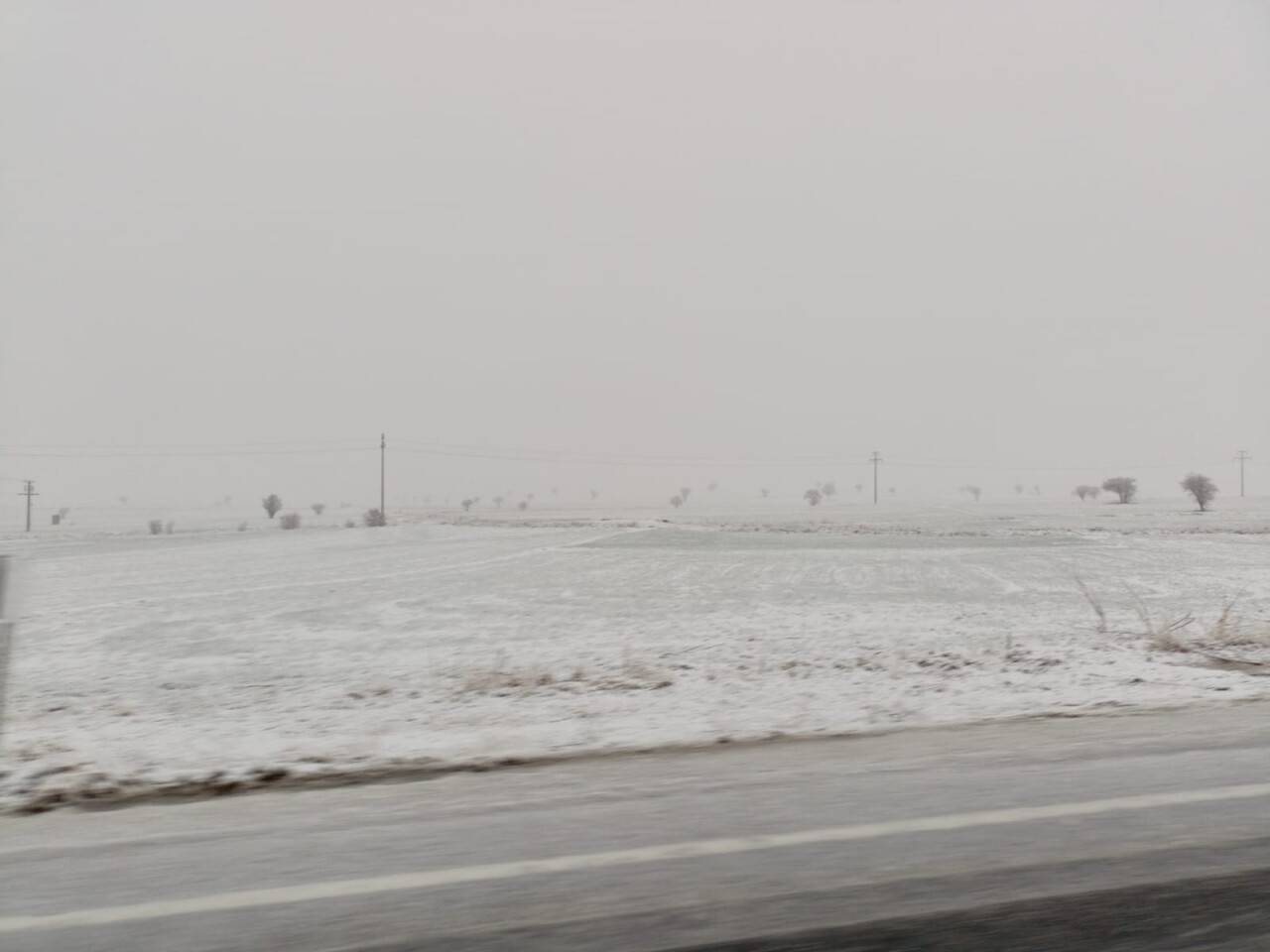 Konya'nın organik çilek üretim merkezine yağan kar çiftçiyi sevindirdi