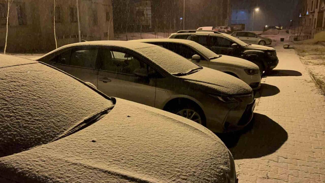 Yoğun kar yağışı