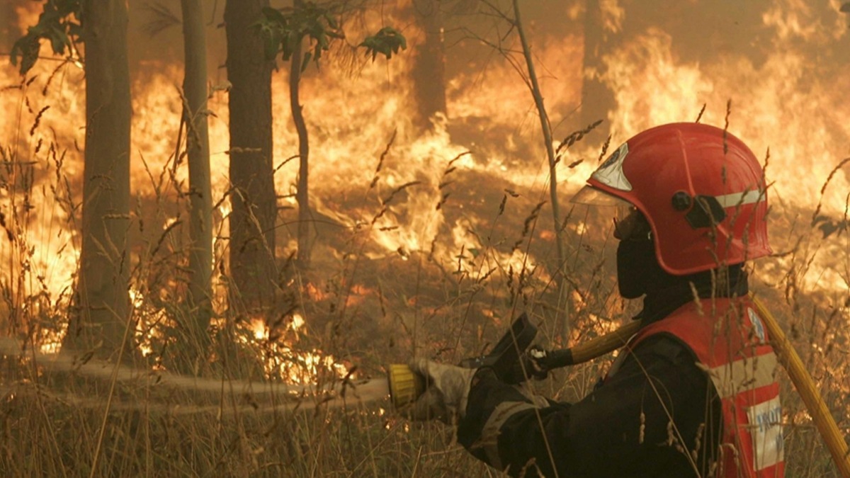 İspanya'da çıkan orman yangınında 250 kişi evlerinden tahliye edildi